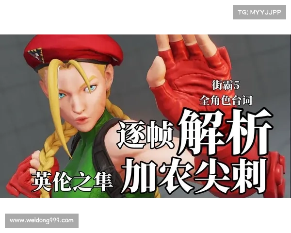 街霸男角色技能提升全攻略与实战技巧全面解析