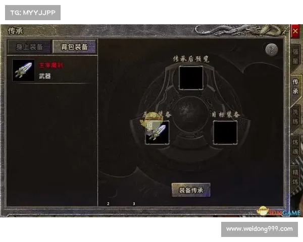 辅助光辉装备推荐与玩法解析全方位攻略深入分析 辅助光辉装备推荐与玩法解析全方位攻略深入分析