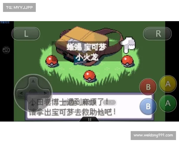 口袋妖怪黑白金手指下载与使用全攻略详解