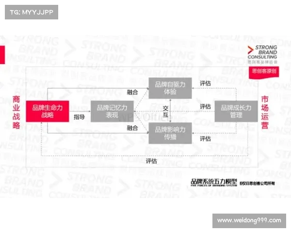 提升DK宏技术应用研究的五大战略途径与发展方向探索