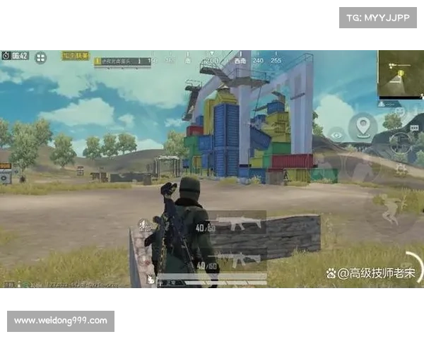 行会3快速提升游戏水平的实用技巧与策略指南