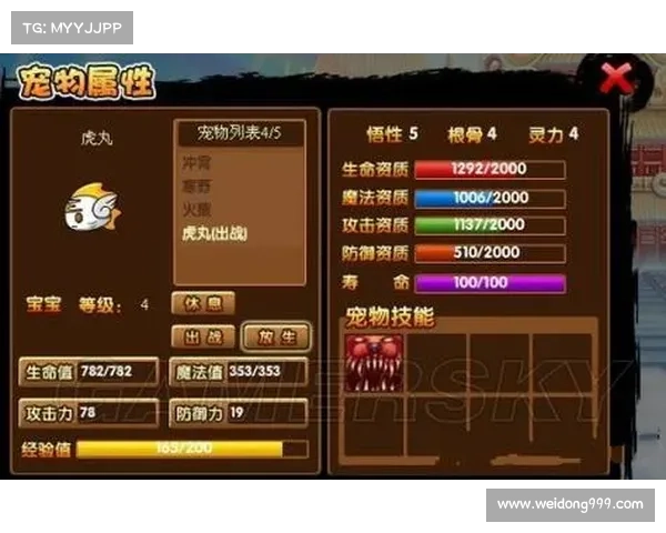 《造梦西游3角色技能搭配全面解析技巧与实战应用》