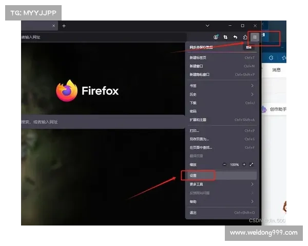提升火狐浏览器使用体验的最新功能解析与实用技巧分享