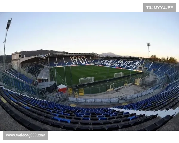 意甲球场建设受限的深层原因探析及背后复杂因素解析