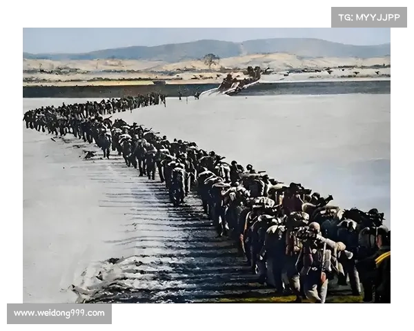 奥利塞如何从四国血统汲取力量并塑造无畏英雄形象的启示