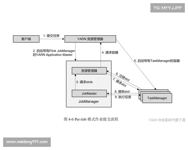 如何从多个维度分析斯坦福桥的组织结构与运作模式